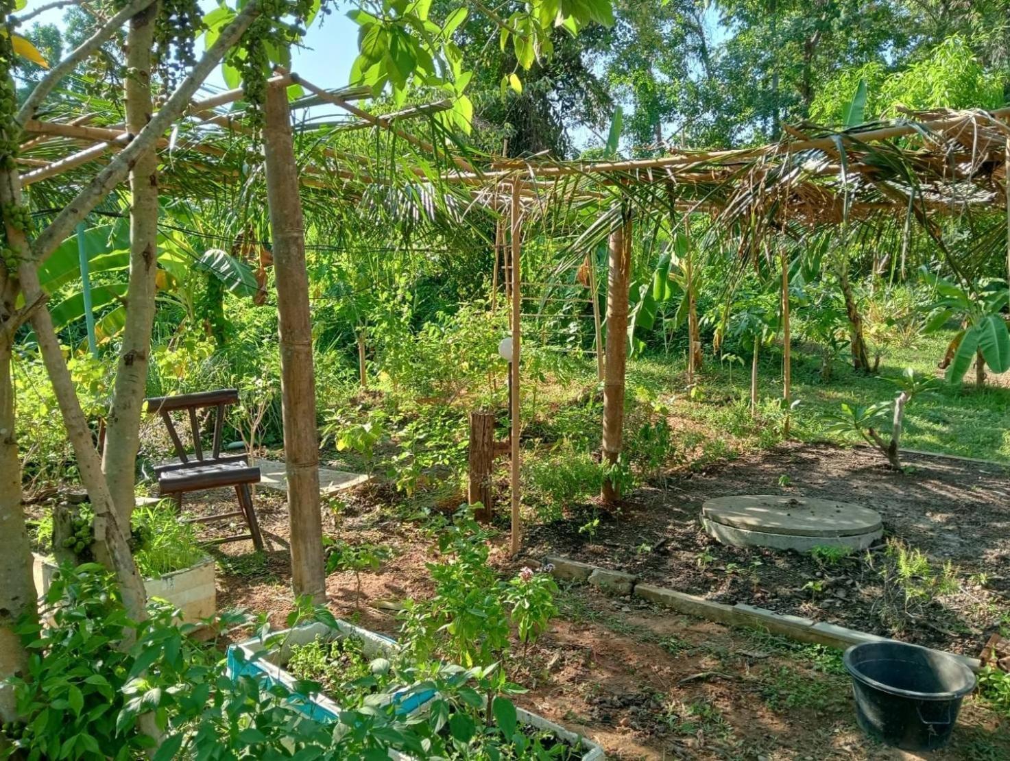The River Retreat Koh Mak Exterior photo